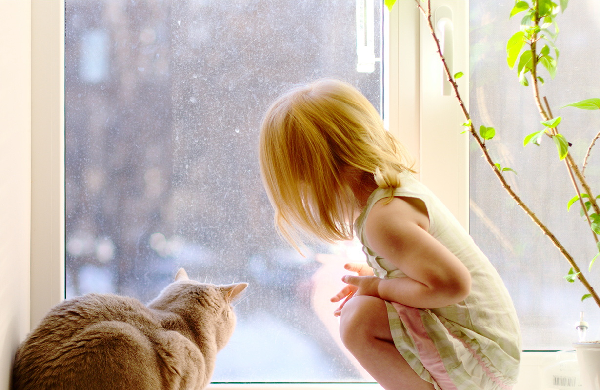dziewczynka i kot wygladają przez okno PCV SYNEGO EUROplast Lubin
